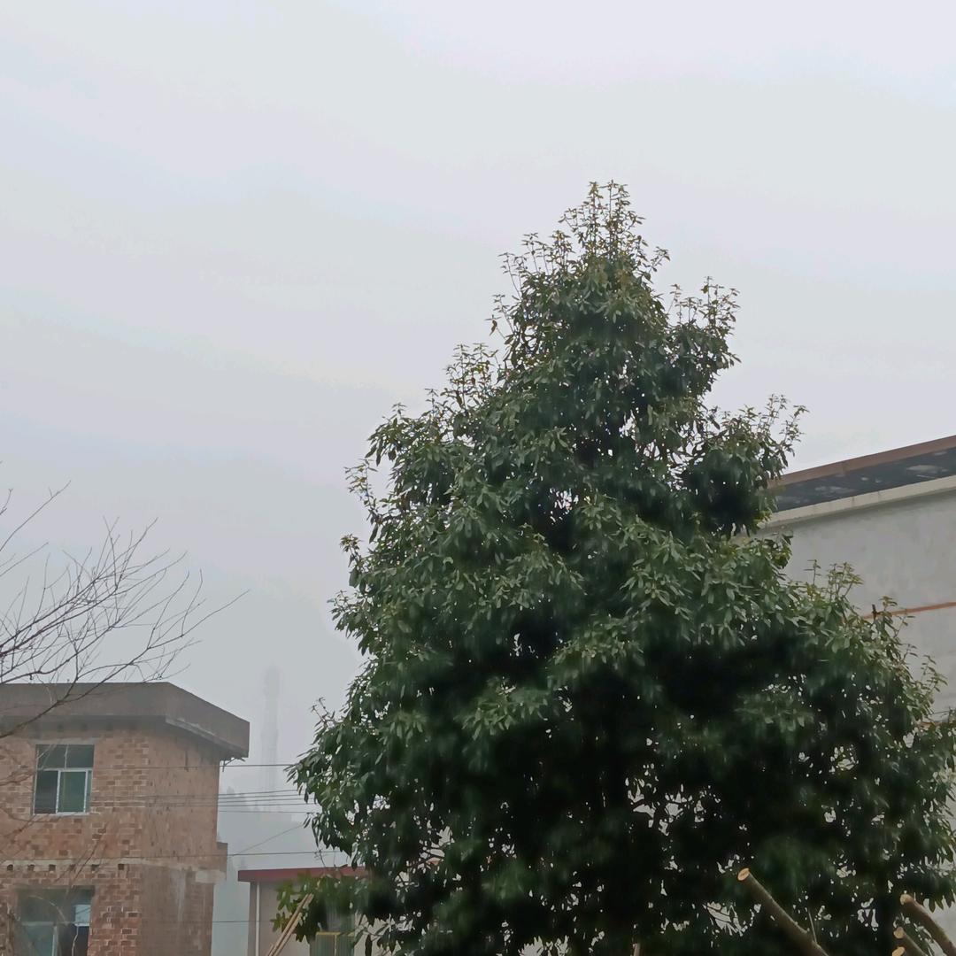 开心的萱萱奶奶