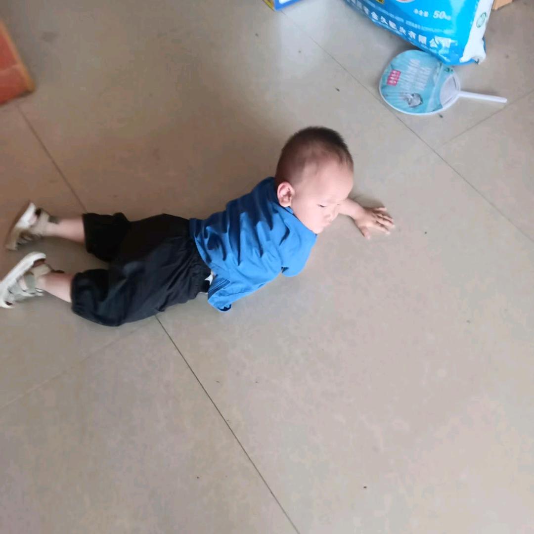 大窝_专线—遵义市城区