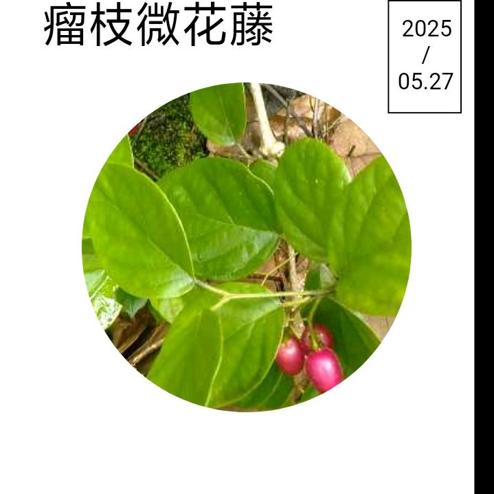 特困户口等你扶贫