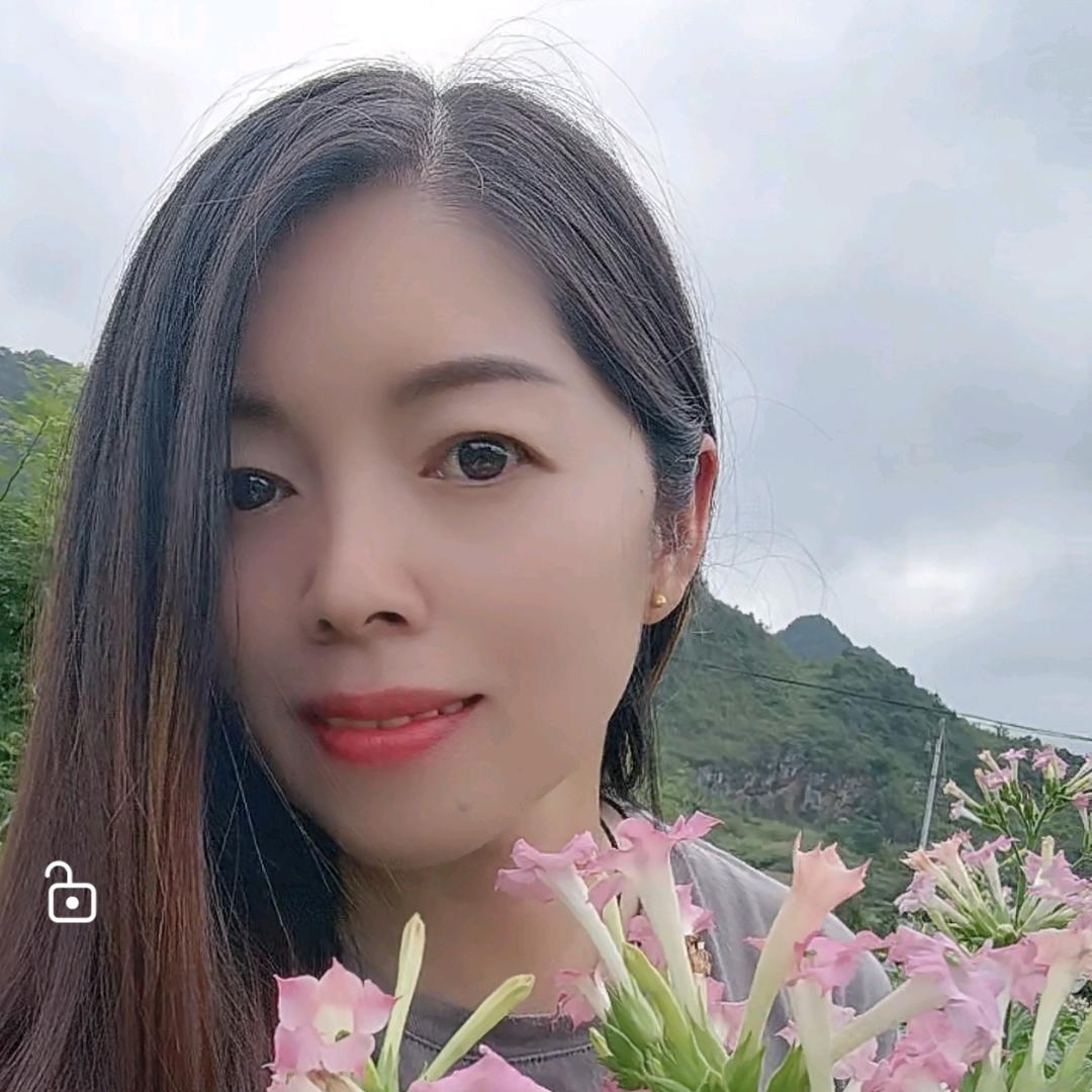 梦姐姐