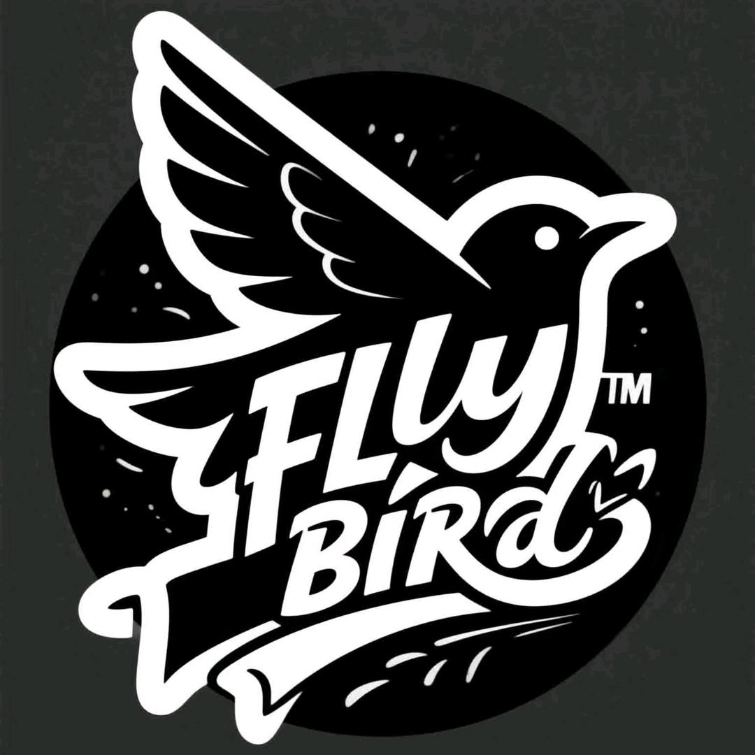 Fly bird乐队