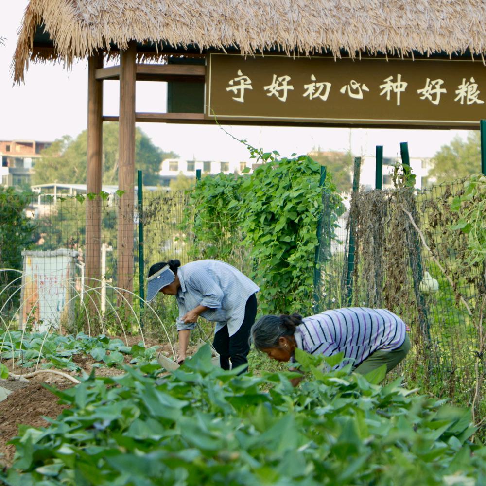 天森合美生态有机庄园