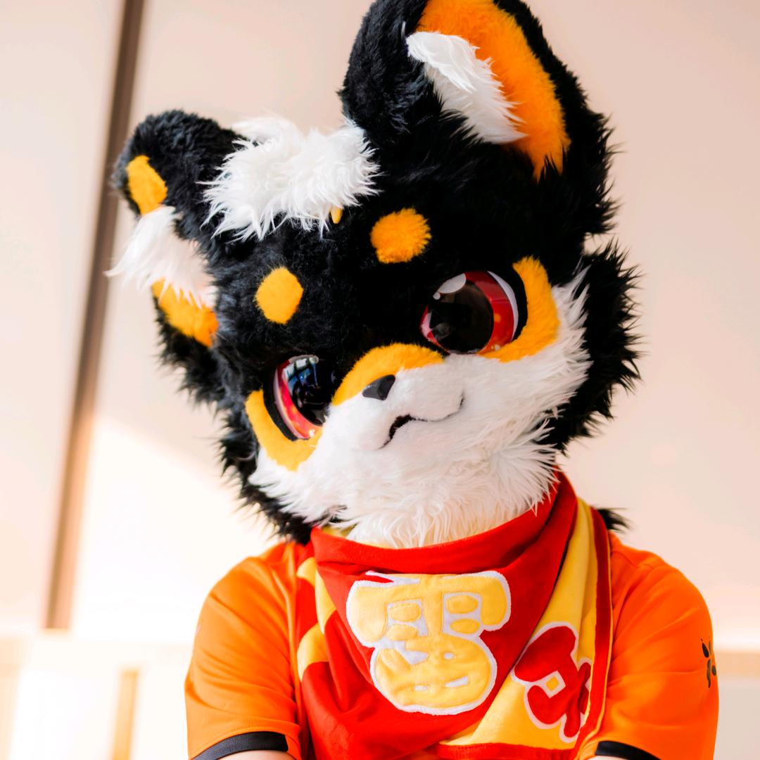 ⚡雷牙是只闪电柴⚡➡️绒萌