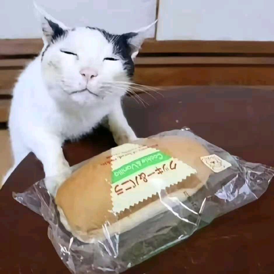 巫朔