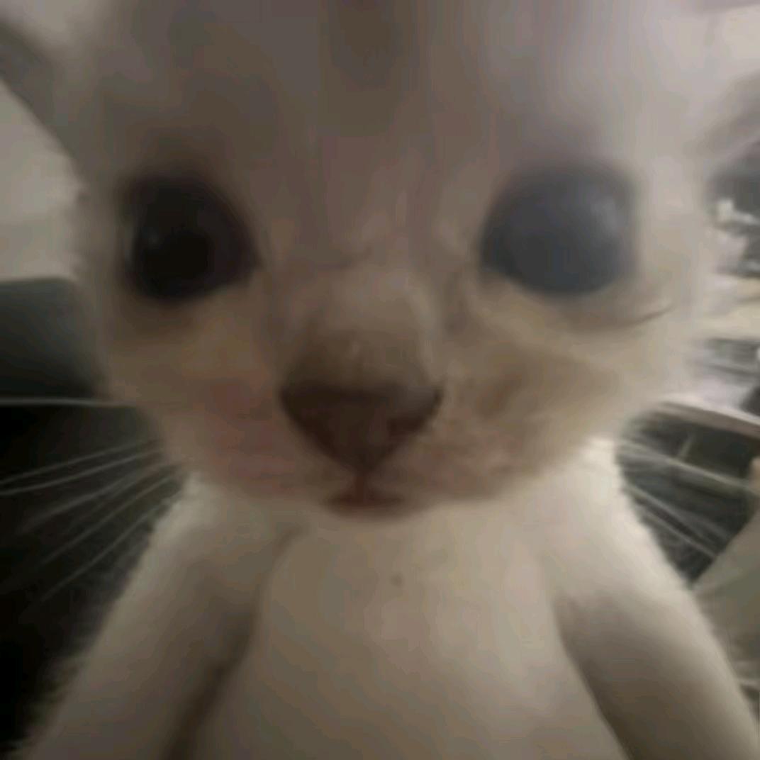 梦想成为巴别塔大手子