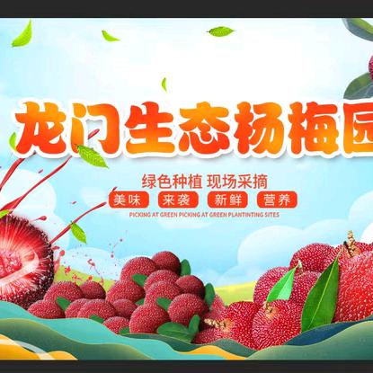 龙门生态杨梅园 客服