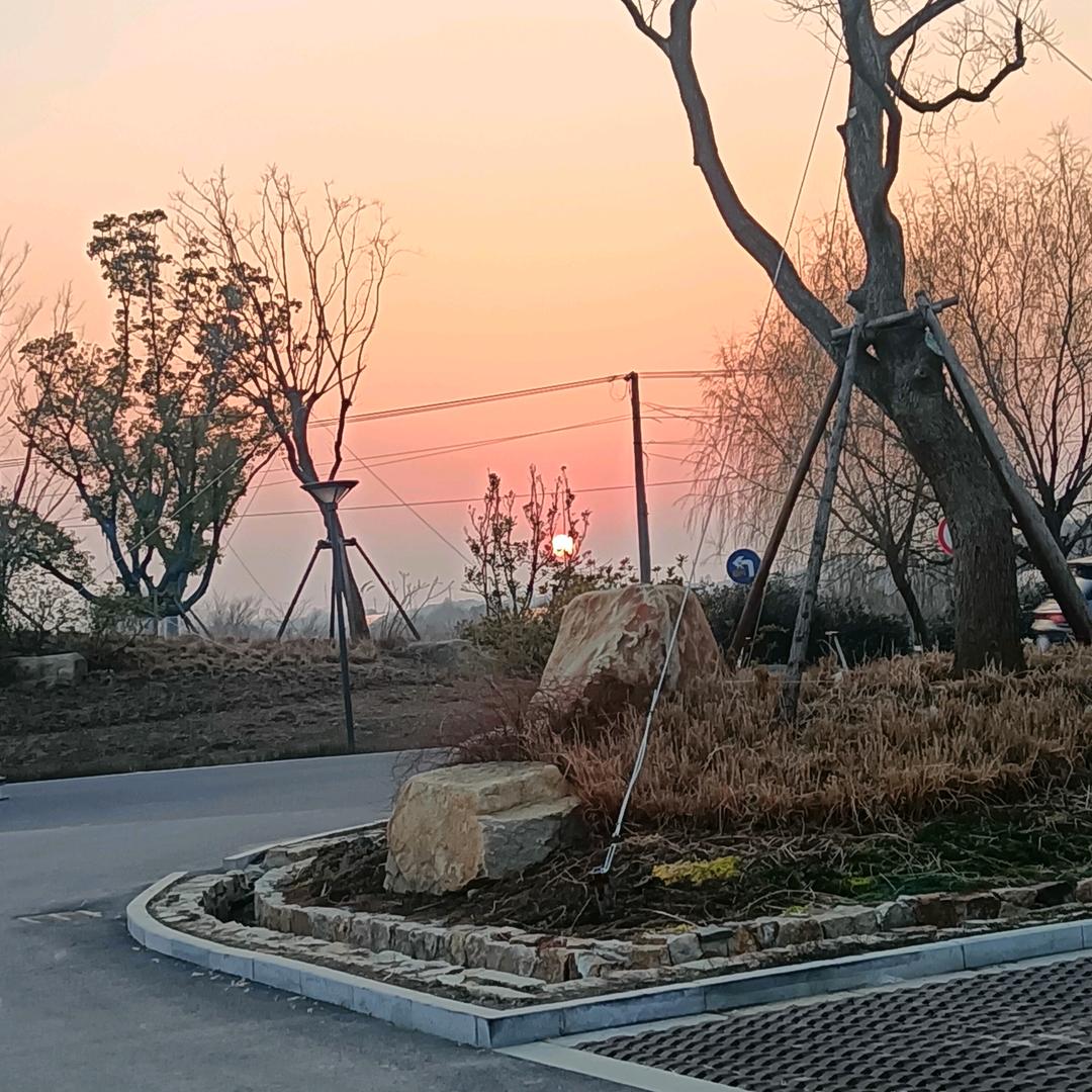 太湖西畔大有秋