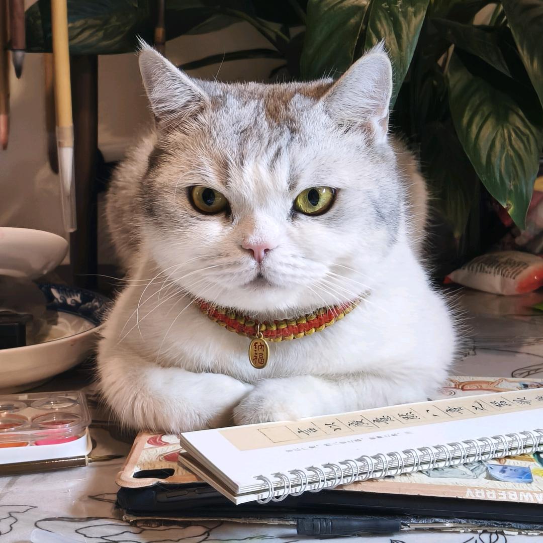 满天都是小星星~