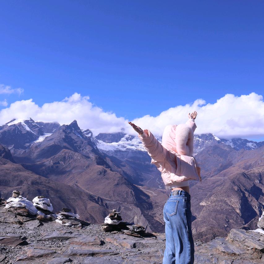 曲奇是个小饼干