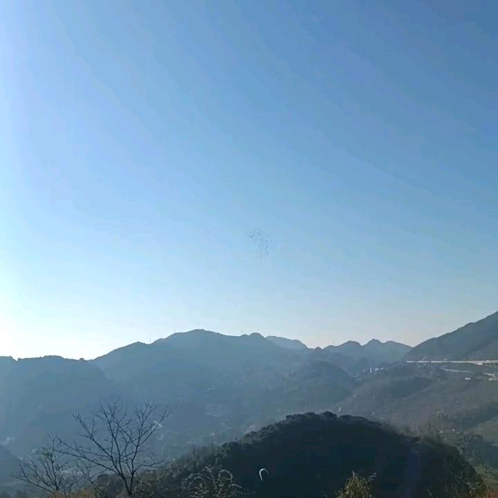 迷路月亮