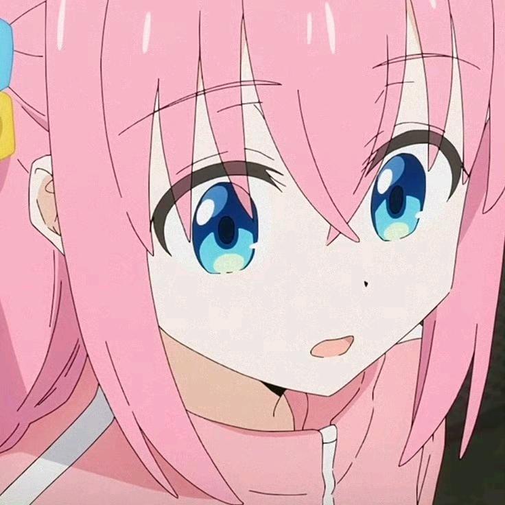 雾里有只猫