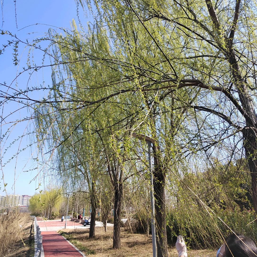 @遇见李老师