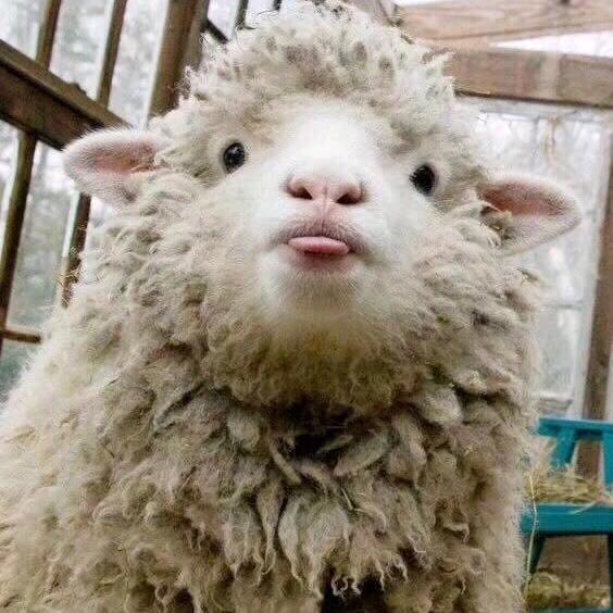 吥可丶壹丗