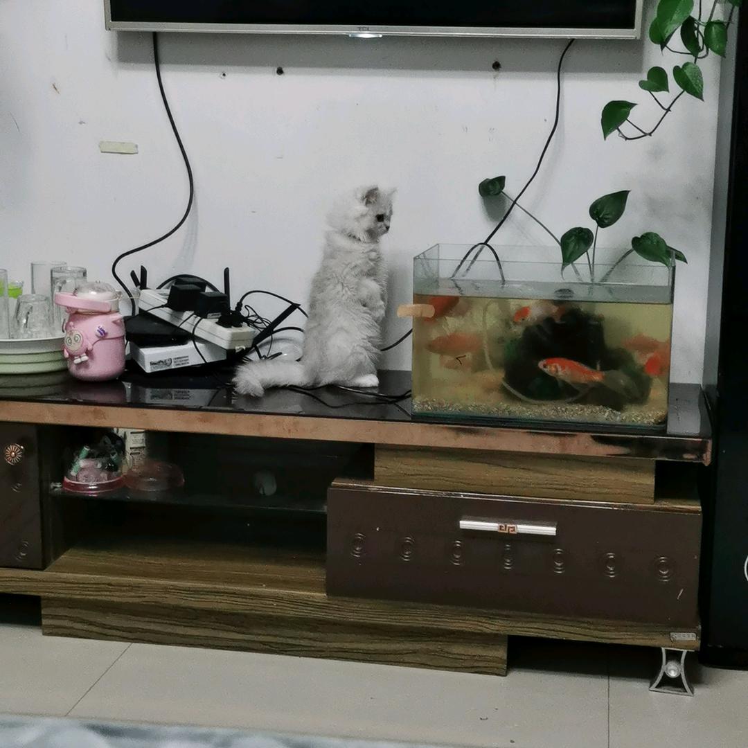 今生誓言
