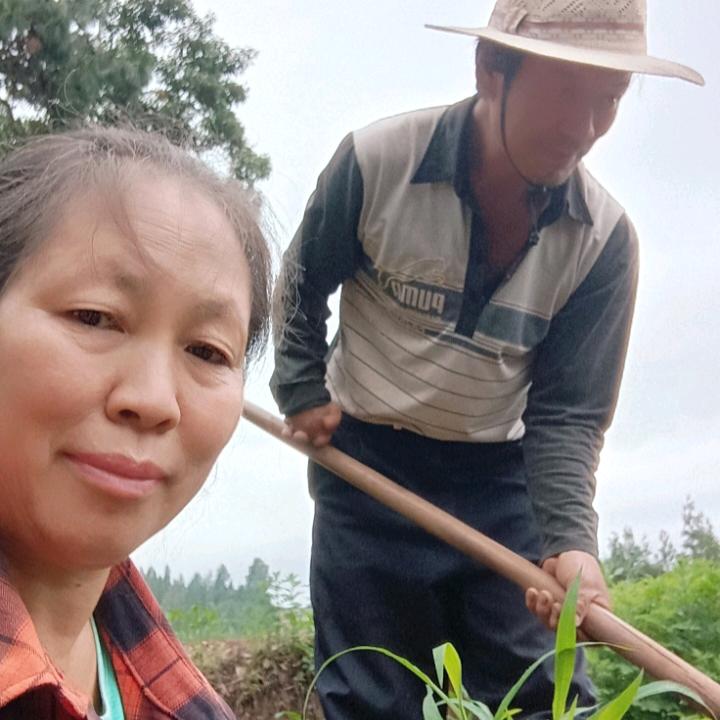 幸福@