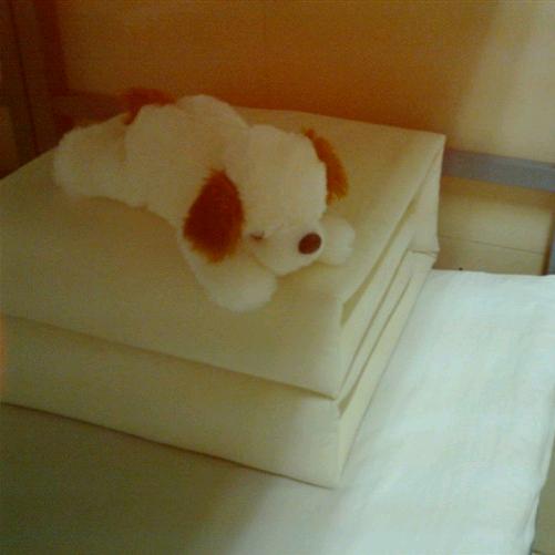 杰✨一杯醉🍻艾💕