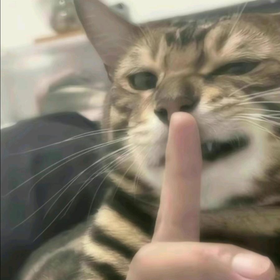 凌璟