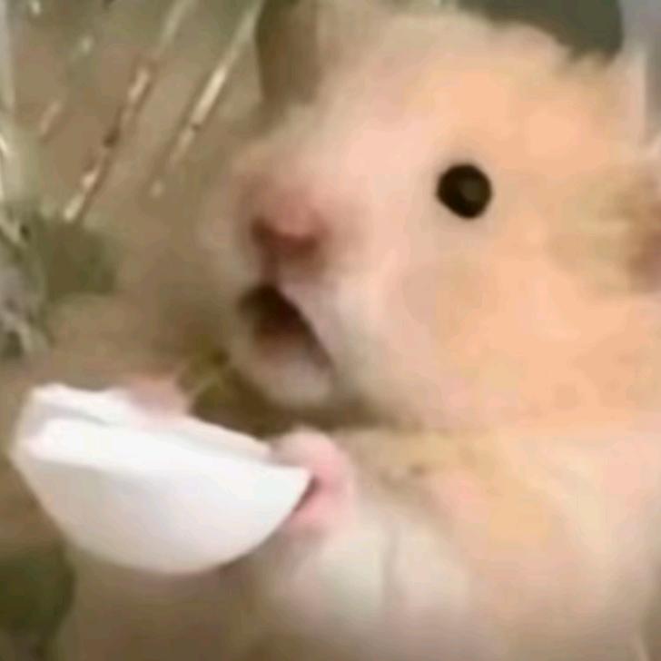 可乐游戏
