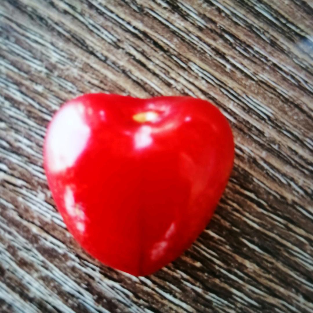 森哥，不许搬运头像，151－18账号仅此