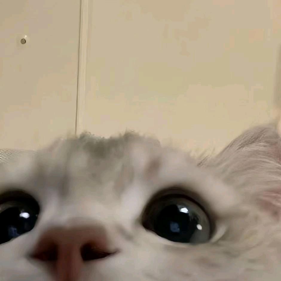 🌈和奇怪的你说话