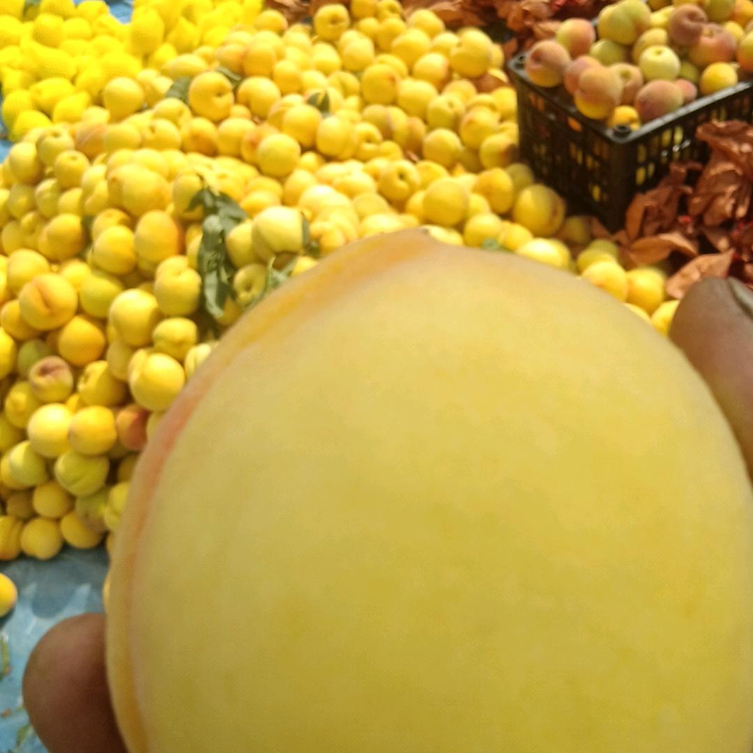 福丰生态农业有限公司！小童