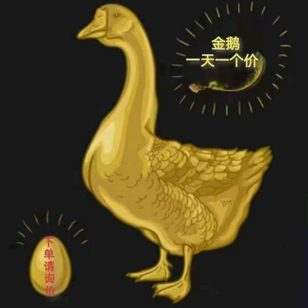 彩塘弟三川狮头鹅生鲜配送