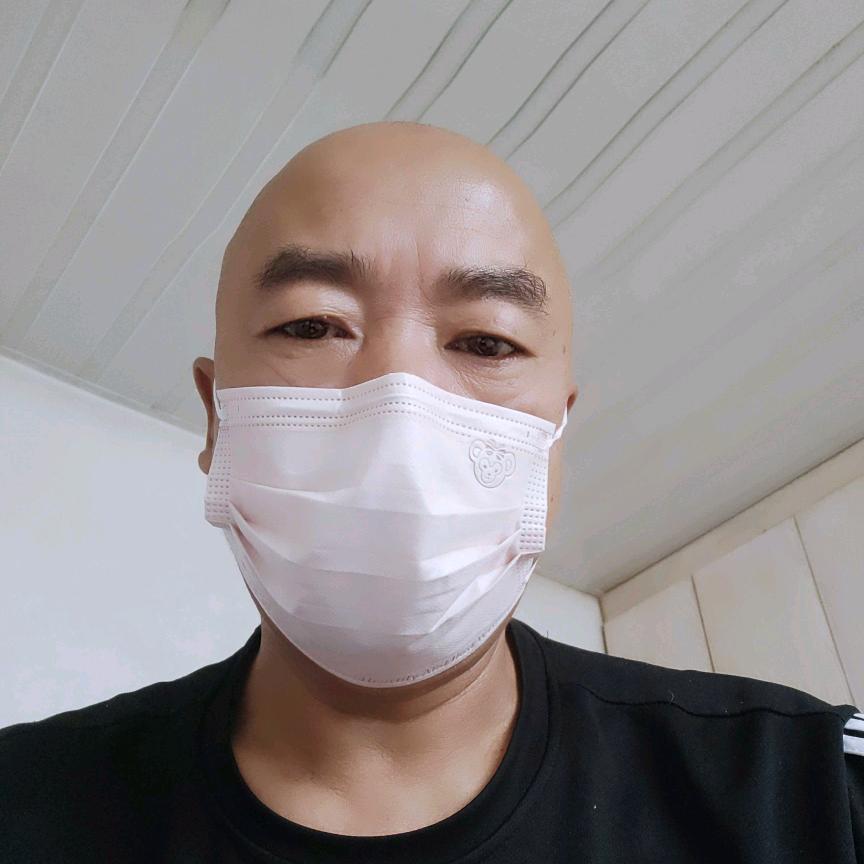 平淡爱鸽人