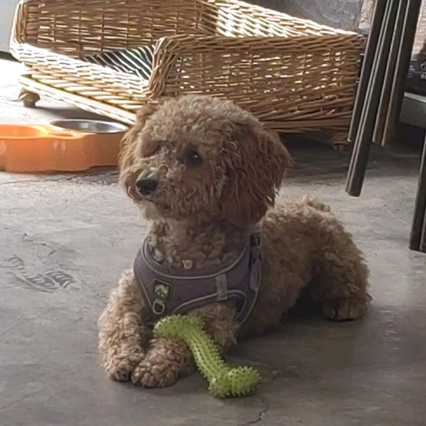 不离不弃