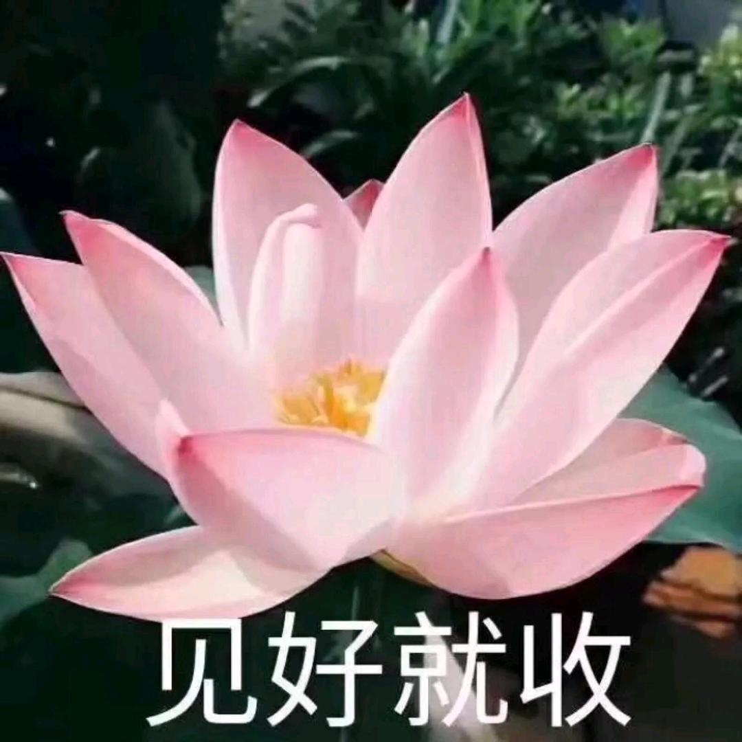 哦o