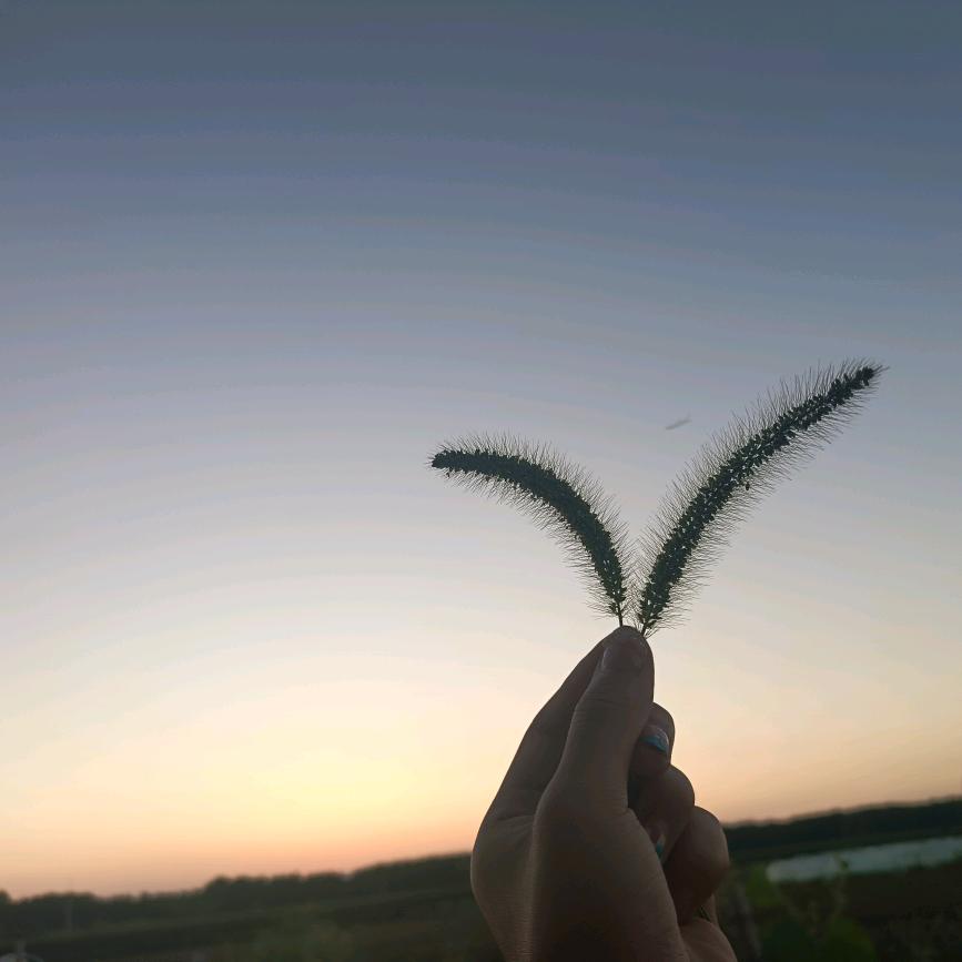 好运连连·͜· ♡