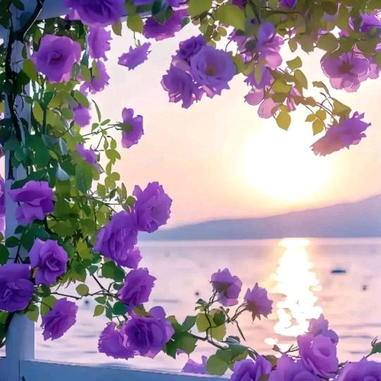 神豪降临(财运滚滚来)