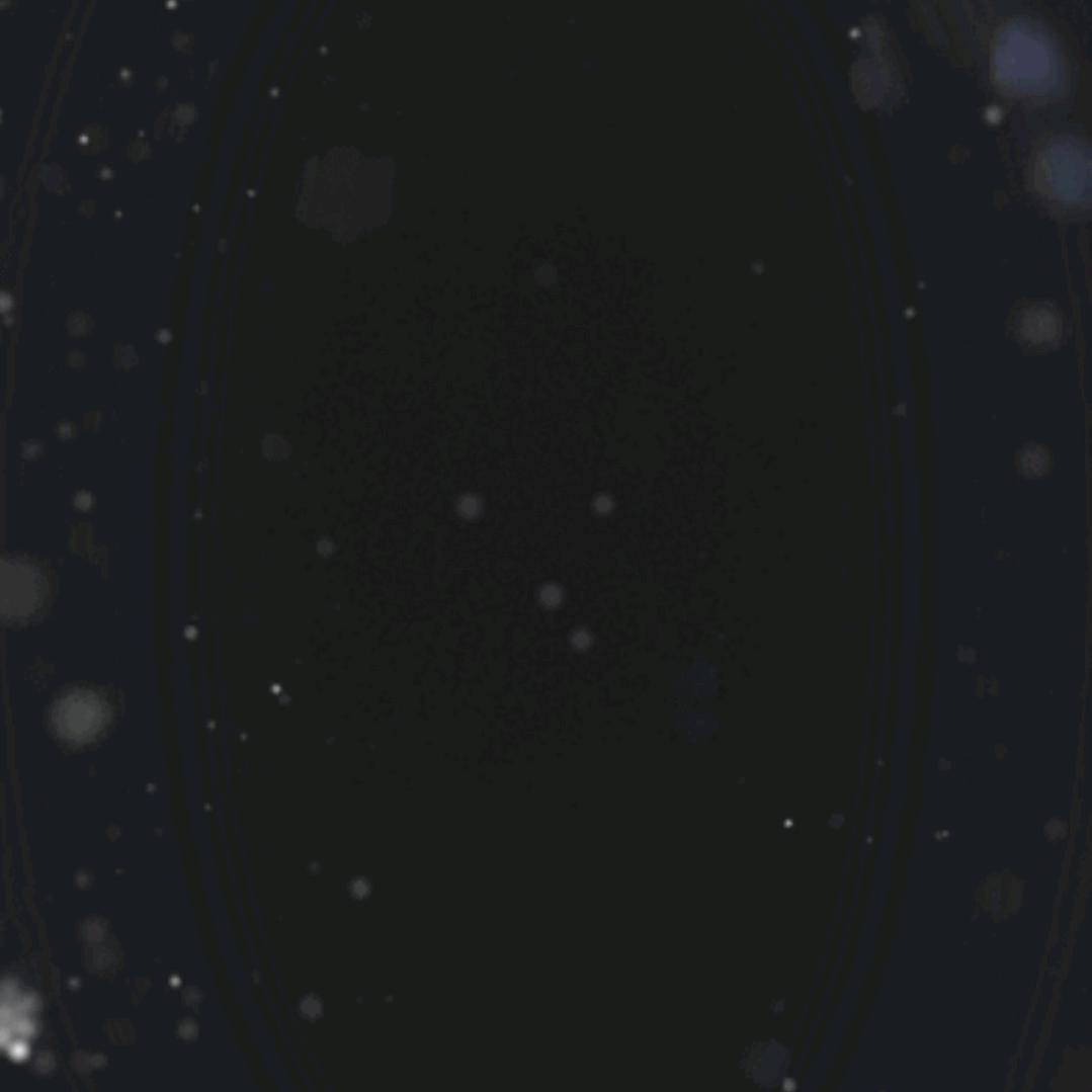 肖海霞