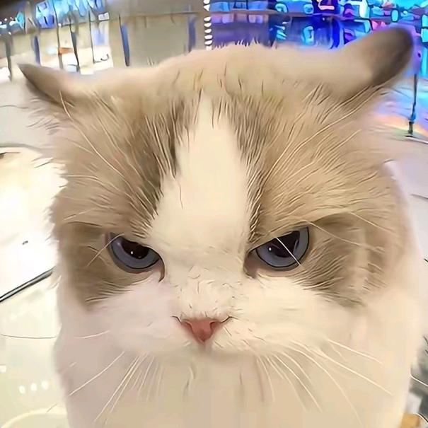 双笙