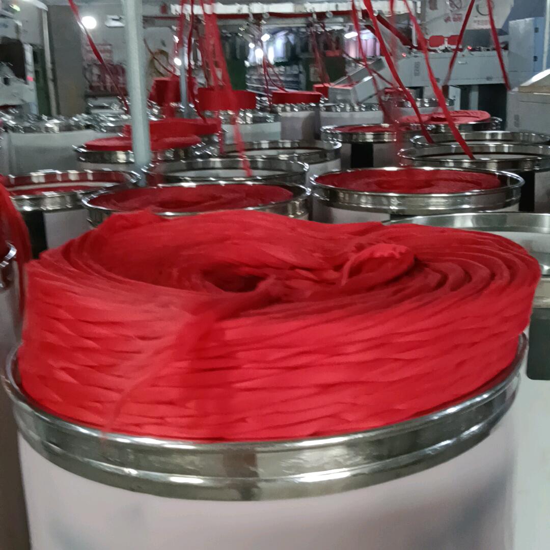 家有两宝宝