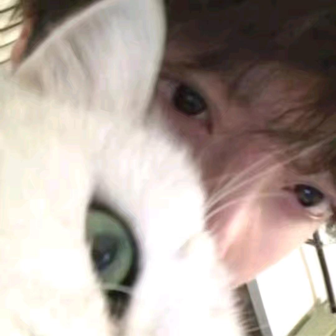 落幕（三角洲行动）