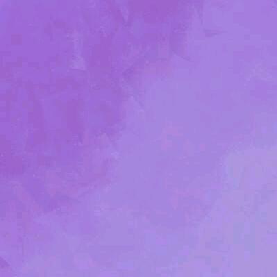 你不懂我的伤悲（乌龟）