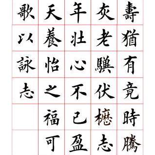 唐糖（大男人）