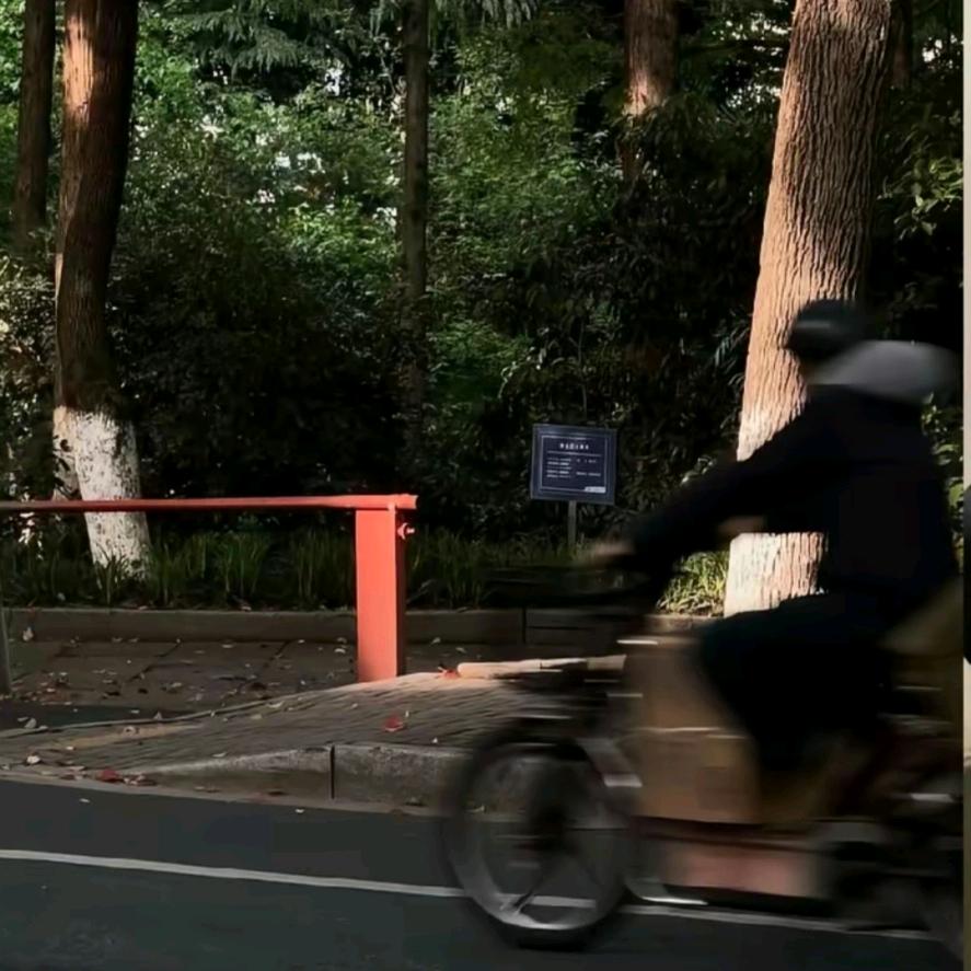 帅到被人砍/.