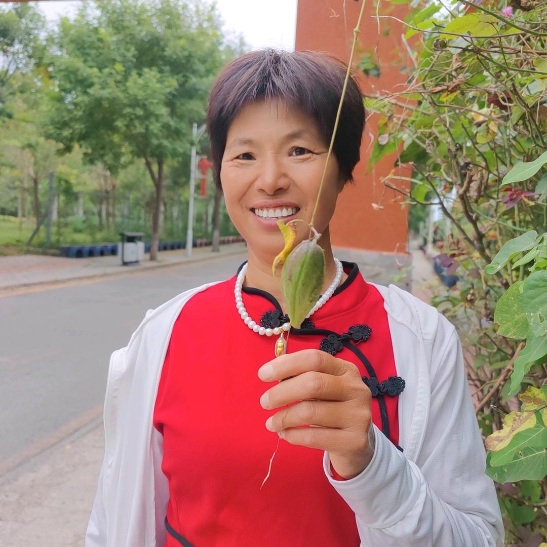 北漂田姨