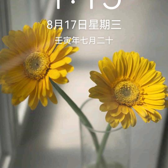 张春莲