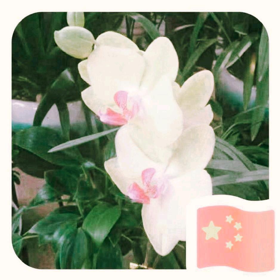 太阳雨