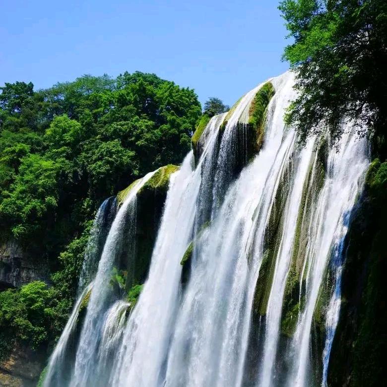 用户826437807251O&