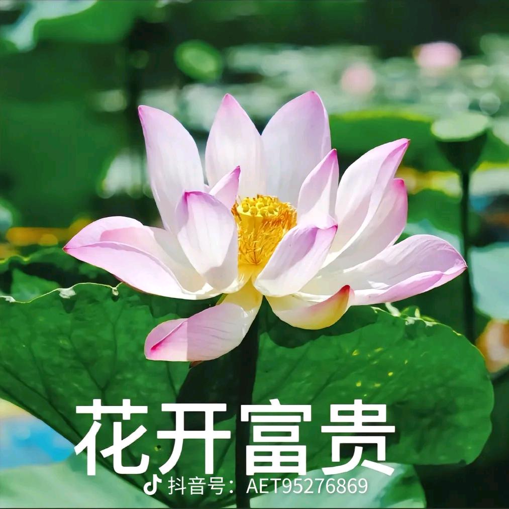 潘姐爱分享