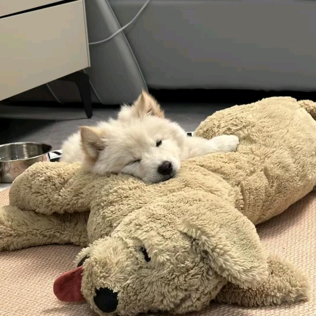 17我名叫小帅