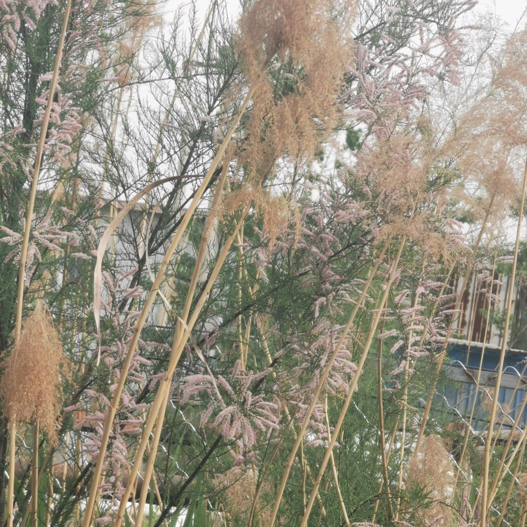 微笑着面对生活