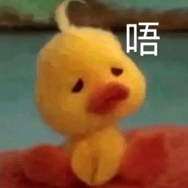 好黄鸭