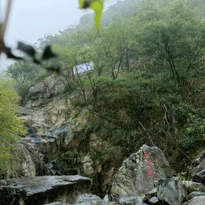 至诚永念