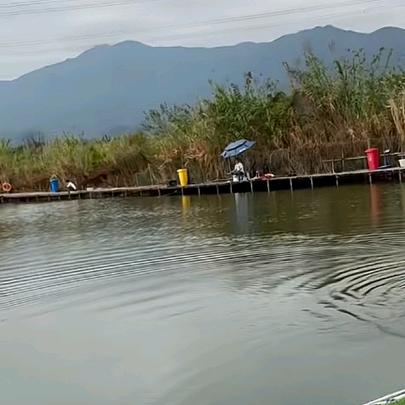 鸿福