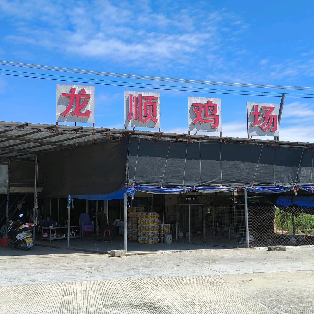 龙顺鸡场（1）