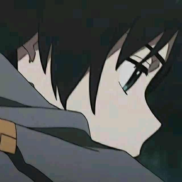 桉叶